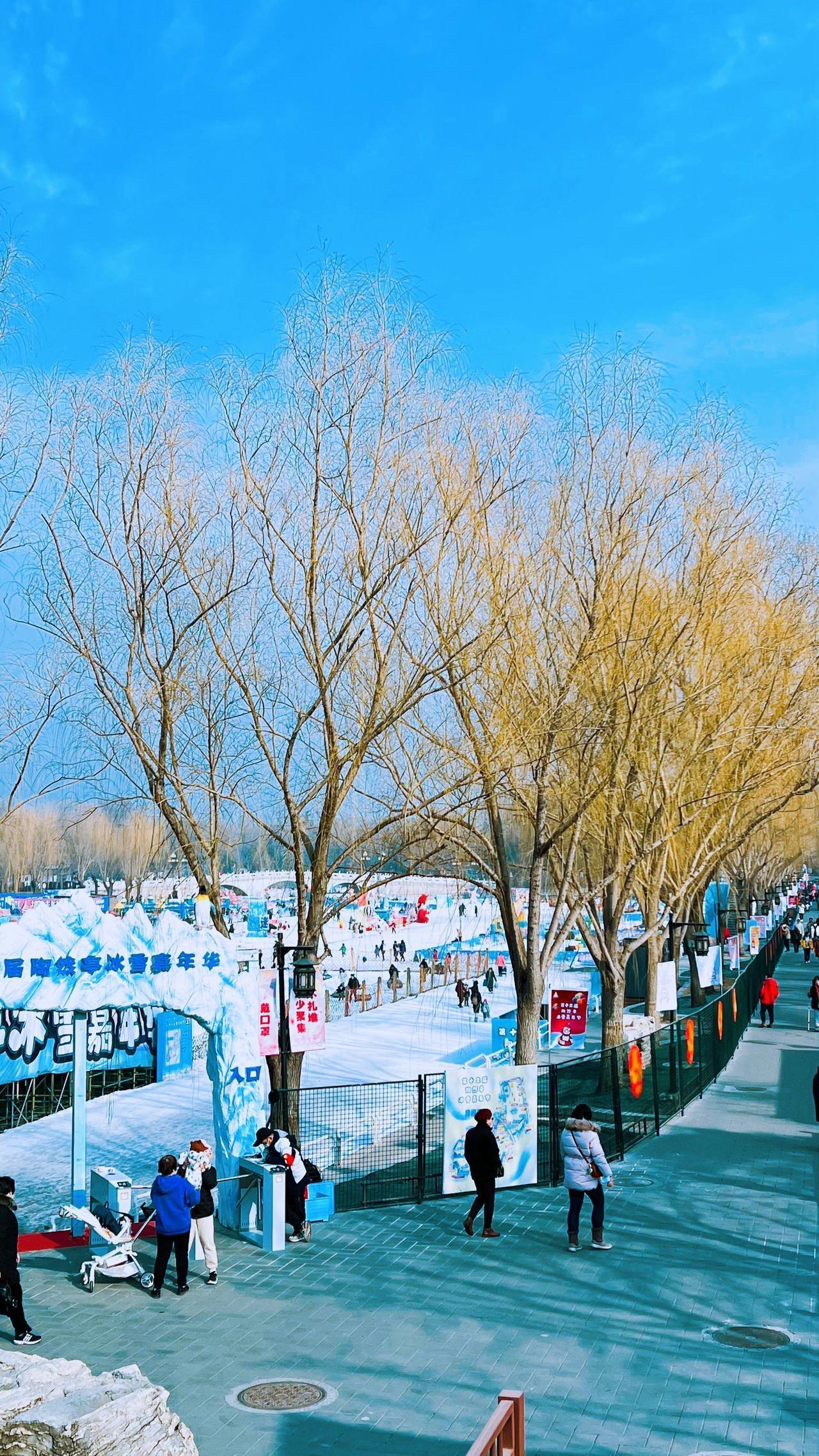 分享手机里的随手拍