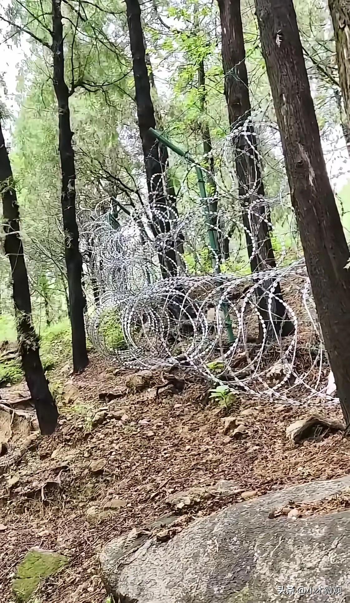 太好了！舆论呼声得到了重视，整改动作迅速落地：6月30日，泰山管委会正式表态，将