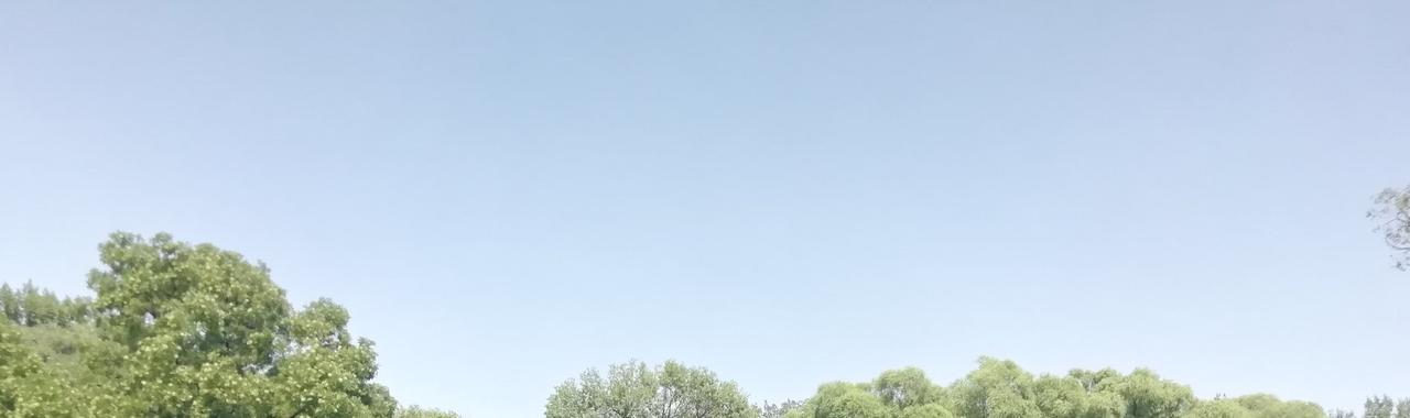 中国内卷式竞争对经济构成压力，但著名经济学家林毅夫指出，内卷是经济发展过程的必然