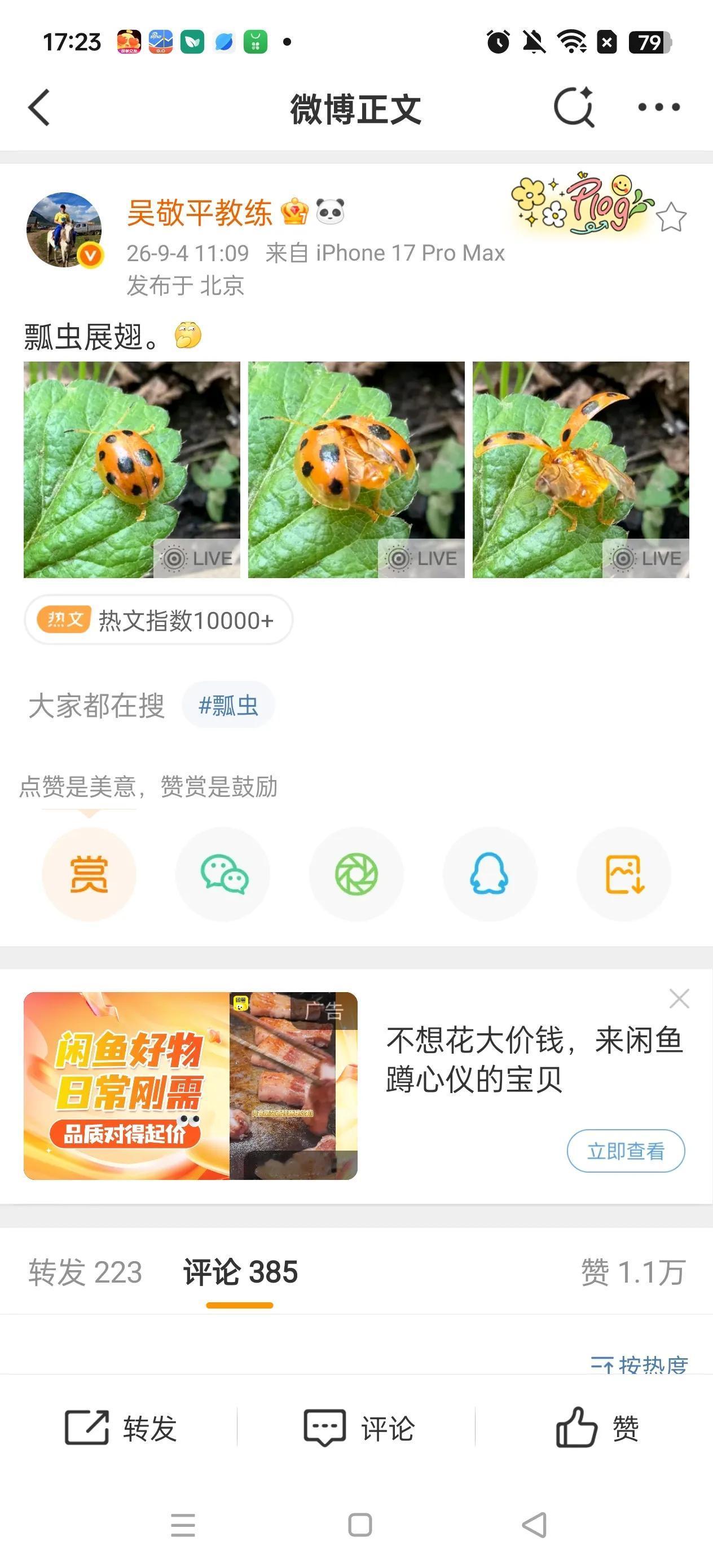 瓢虫一共几个点