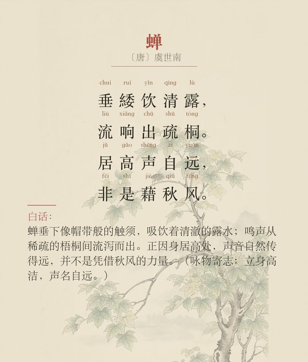 古人是怎么写夏天的，5首夏日古诗，邀君共赏~一起邂逅古人笔下的夏天~