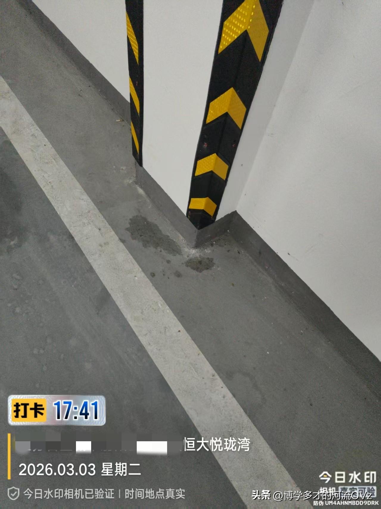 今天是金碧物业走后的第125天，大明物业的第33天。

“随手一拍 [呲牙]  