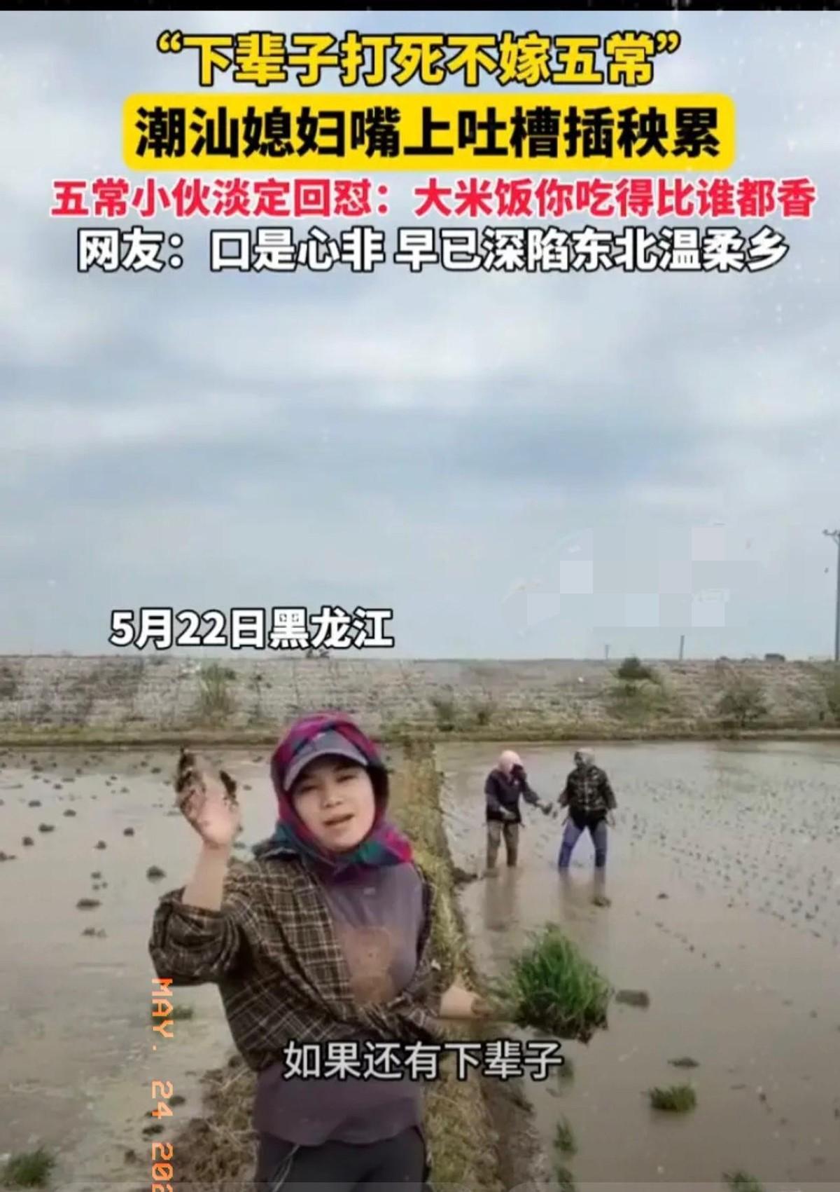5月24日的黑龙江五常，那日子过得跟画卷似的，初夏的风吹过来都夹着土腥味儿，田野