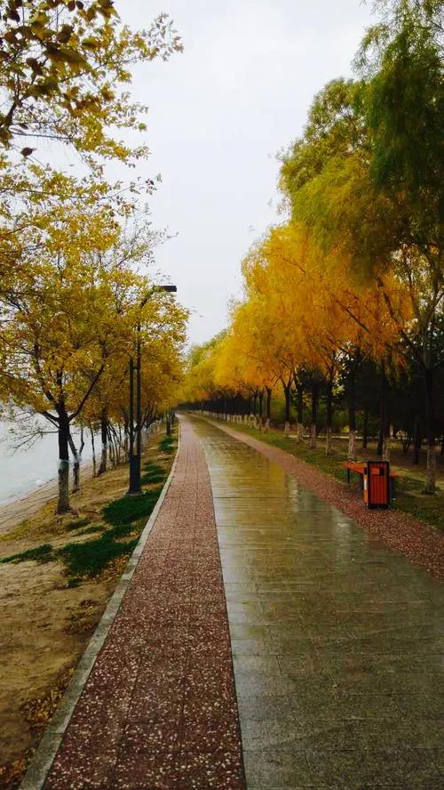 《七律·秋雨》
秋来常苦雨缠绵，
独讶今朝殊旧年。
万壑横流侵野径，
千云水泻没