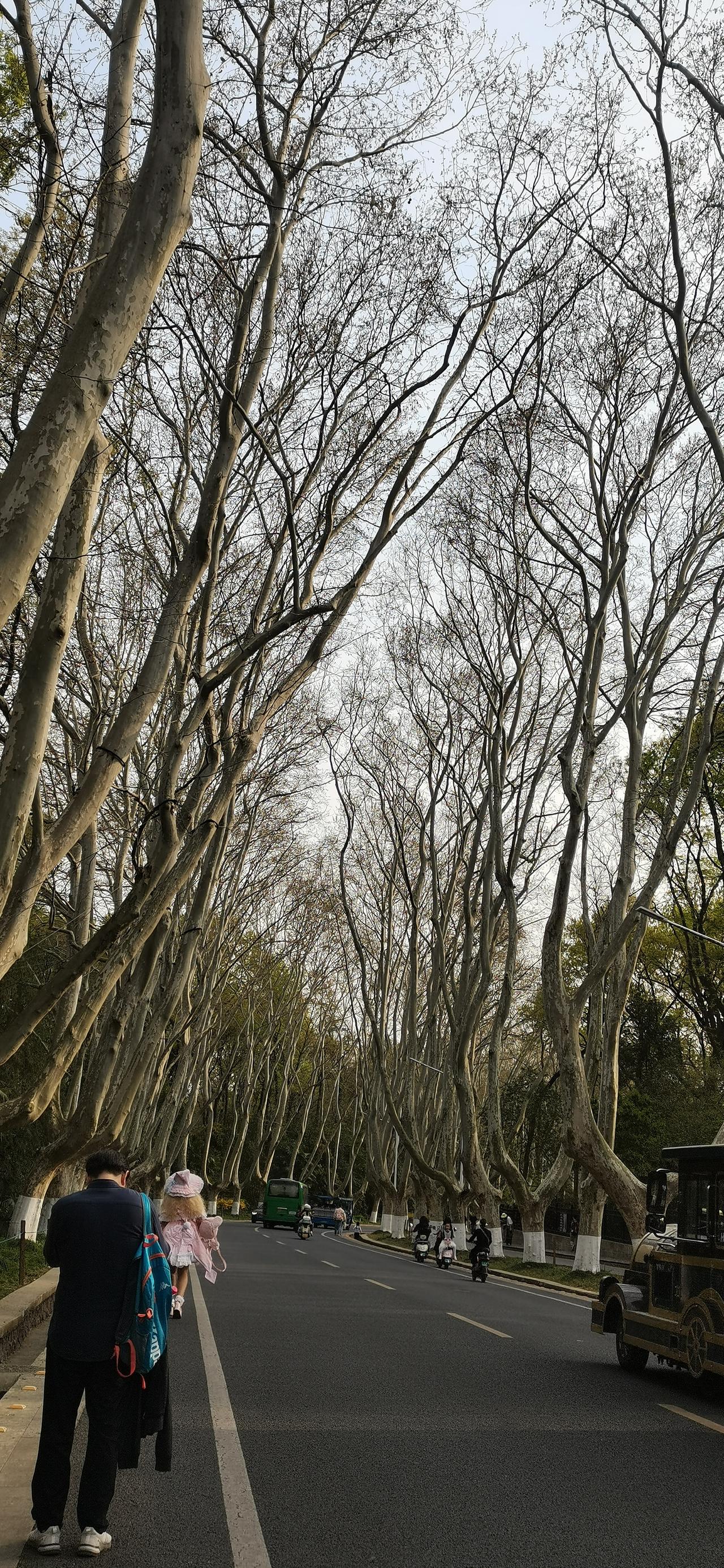 可不能辜负这么好的春天啊！

老公油门一踩，又带我去南京逛逛，这个让我逛不够的地