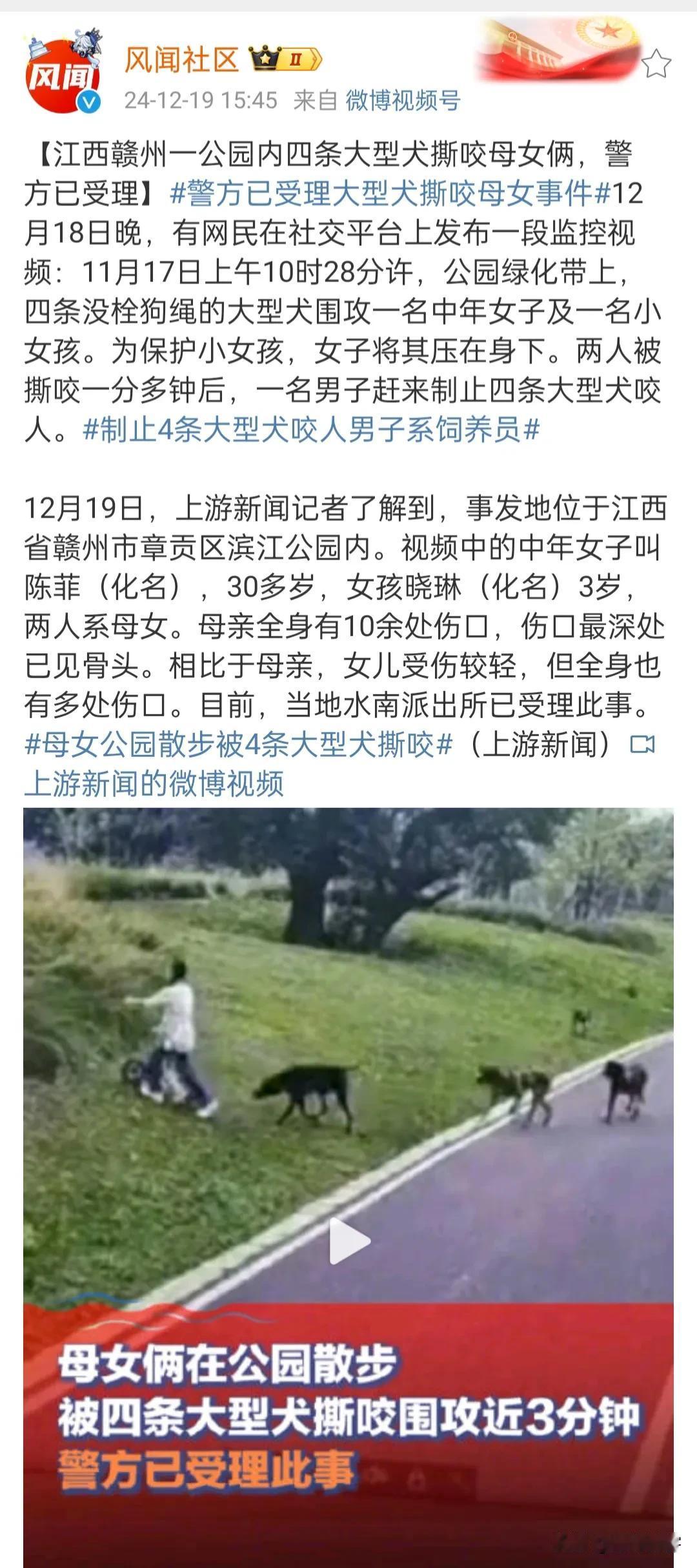 江西赣州一公园内四条大型犬撕咬母女俩，母亲保护孩子被撕咬最重，严重处伤口可见骨头