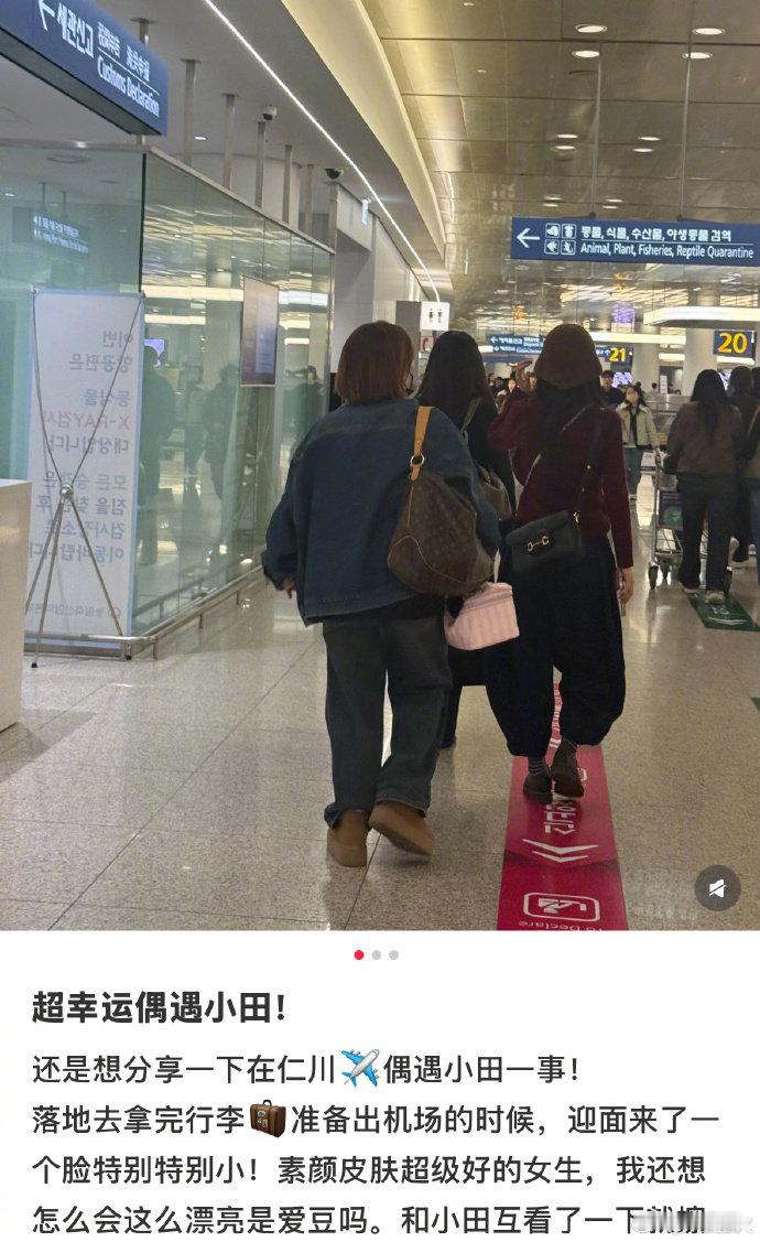 薇薇素颜都这么出挑很难不被认出吧，好羡慕啊我也想偶遇大美女，另外这个裤子怎么肥事