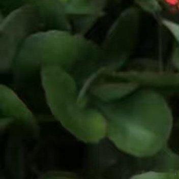 每日一善[超话]阳光信用[超话]这世上最不容易的感情有两种。一种是一个一向只知流