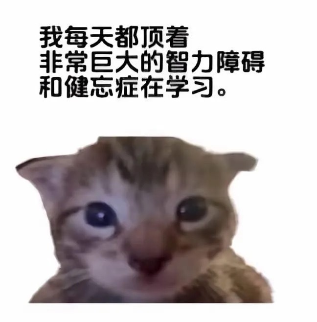 me _irl🙂↔️meme