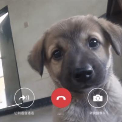 刚和某哥视频。我叭叭叭叭说了一堆。人家在忙呢也没出声，也没看屏幕！我突然就不说了