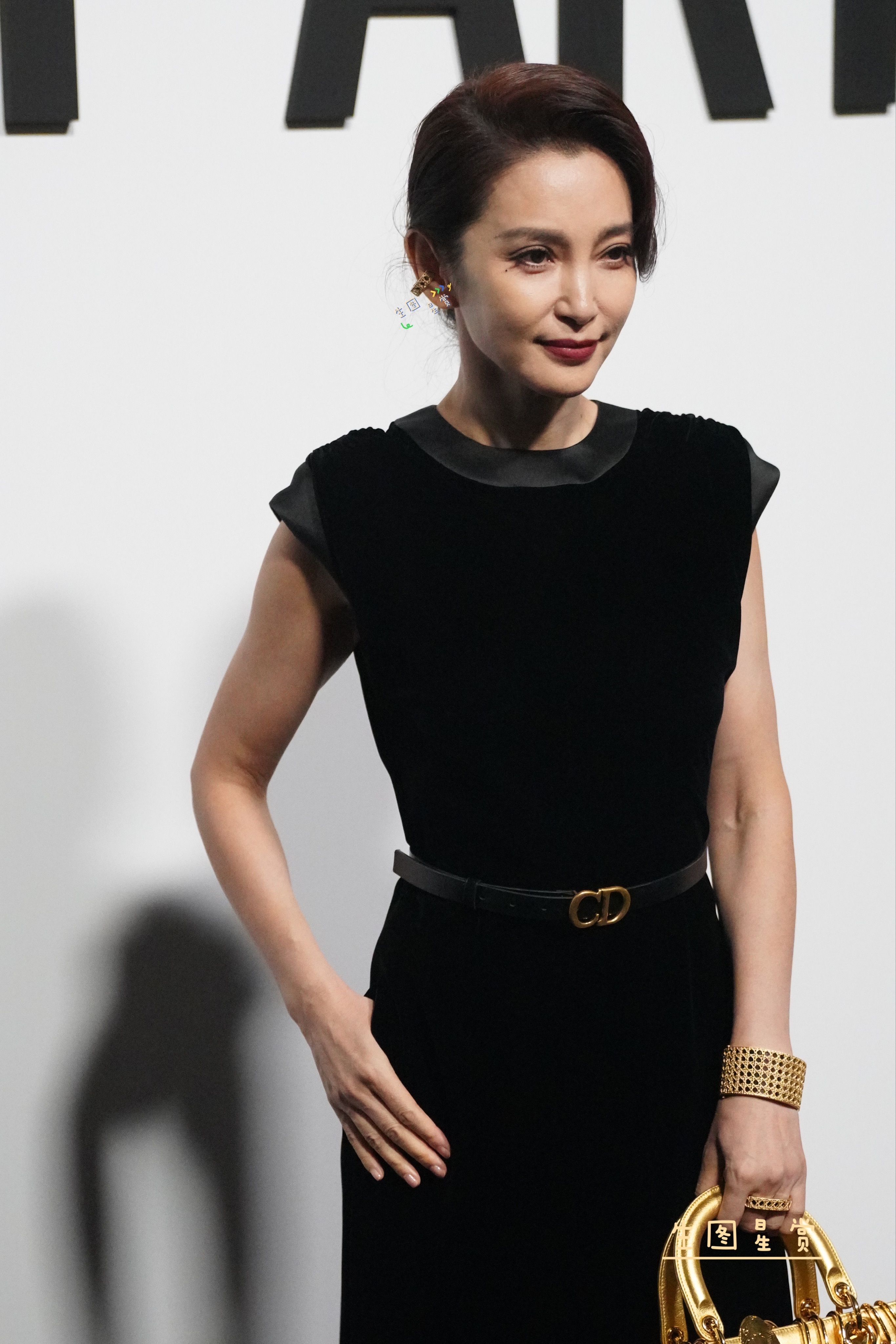 李冰冰 朱珠 王子文 杨采钰× Dior上海展览生图 