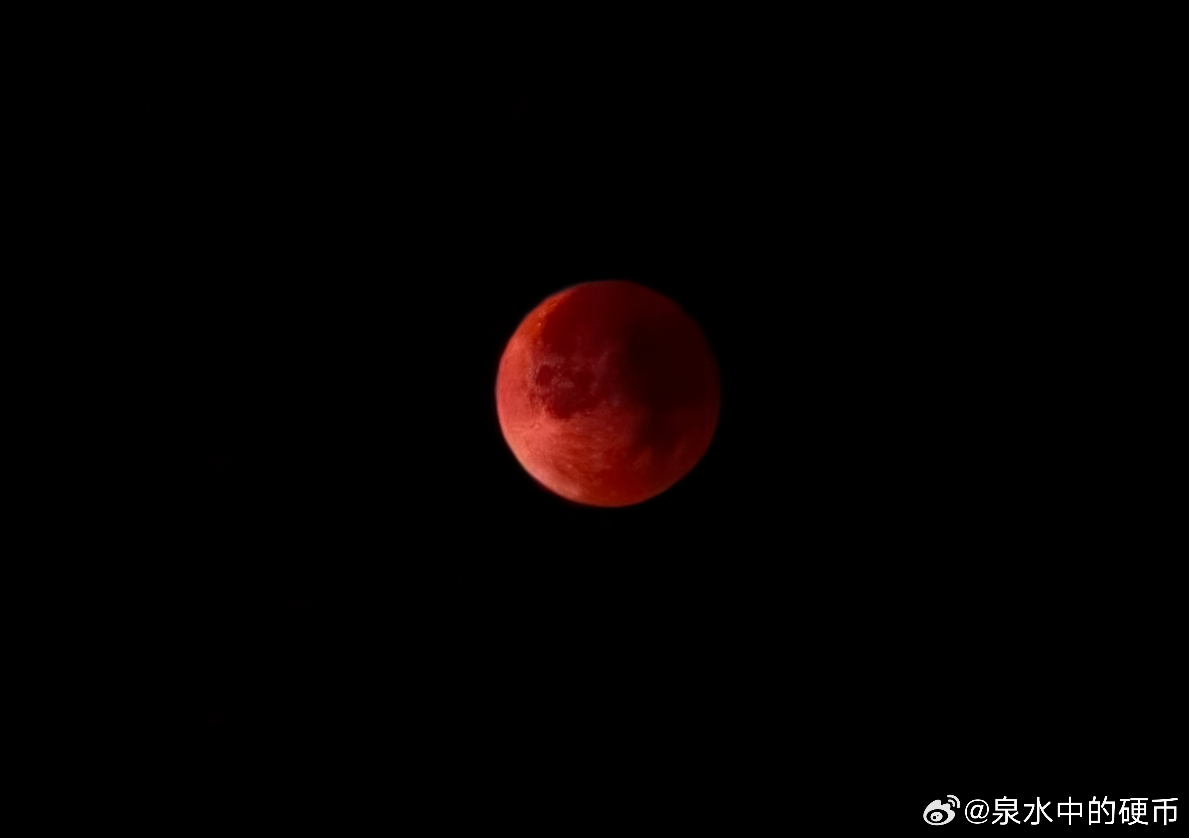 补发一下，昨夜的血色浪漫 ​​​