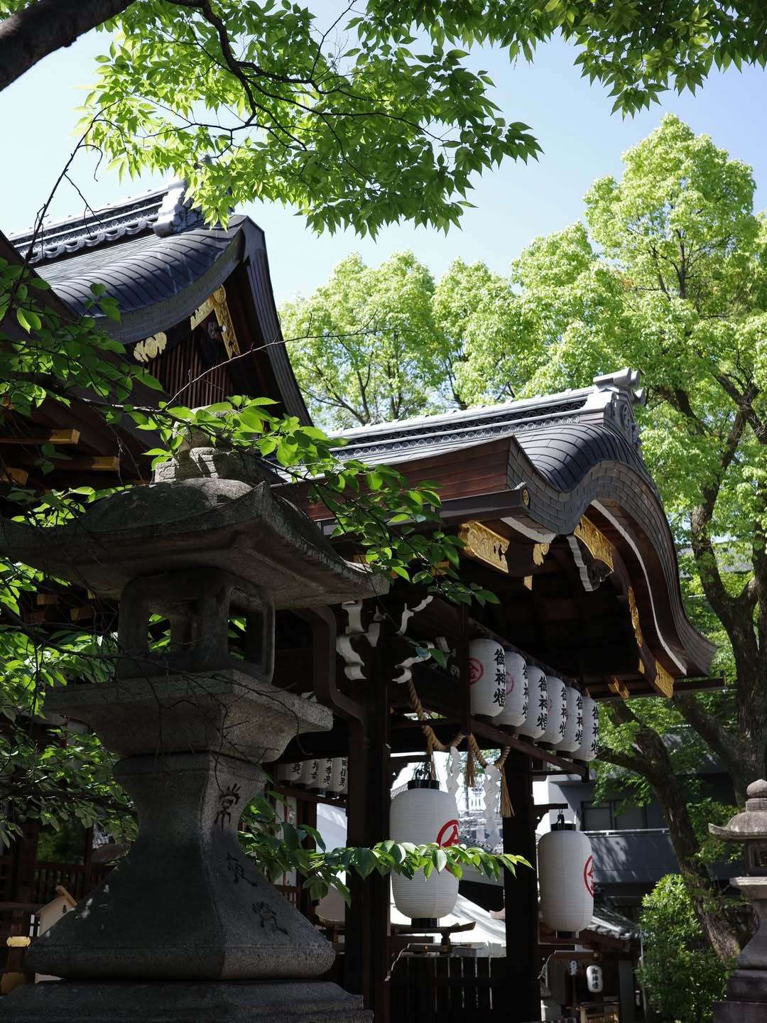 まるぴ やっぱり京都好きです！毎年旅行記録が去年は途絶えてしまったので、また継続