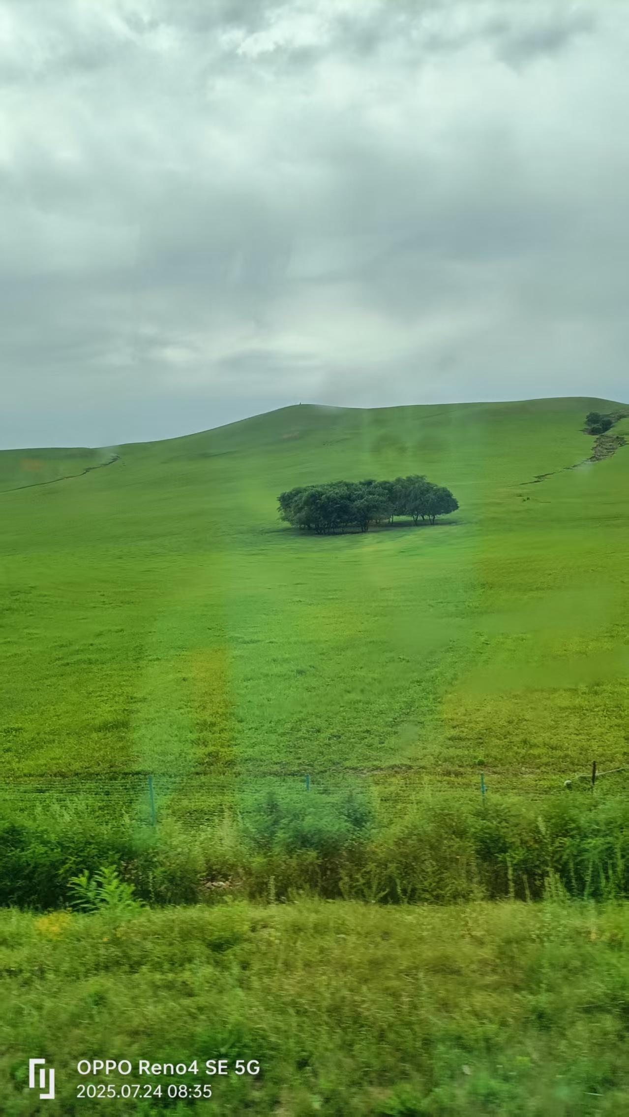 半盏清茶听夜雨，求下联