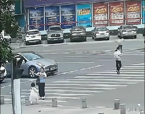 近日，湖北黄石，11岁女孩走在路上，正准备过斑马线，忽然看到旁边有一个4岁的小女