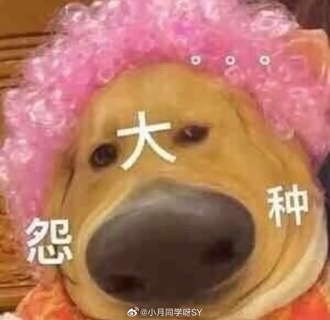 穿阔腿裤最害怕遇到的事去卫生间和下雨大风天、也不是怕是真的很尴尬
