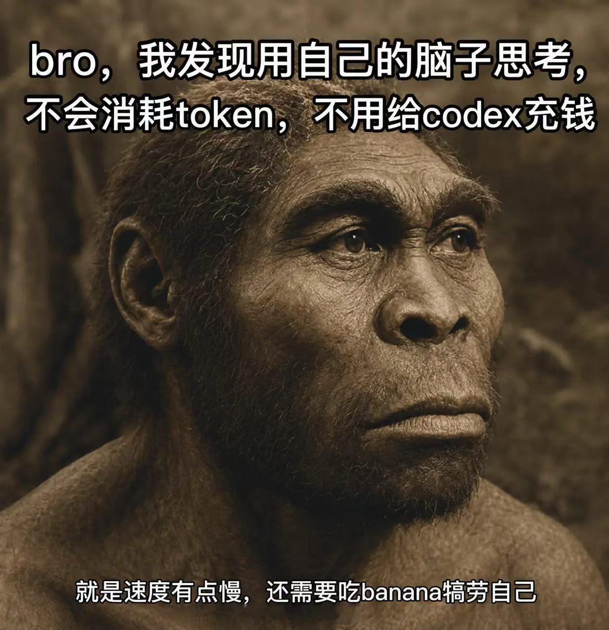 bro，我发现用自己的脑子思考不会消耗token，不用给codex充钱。code