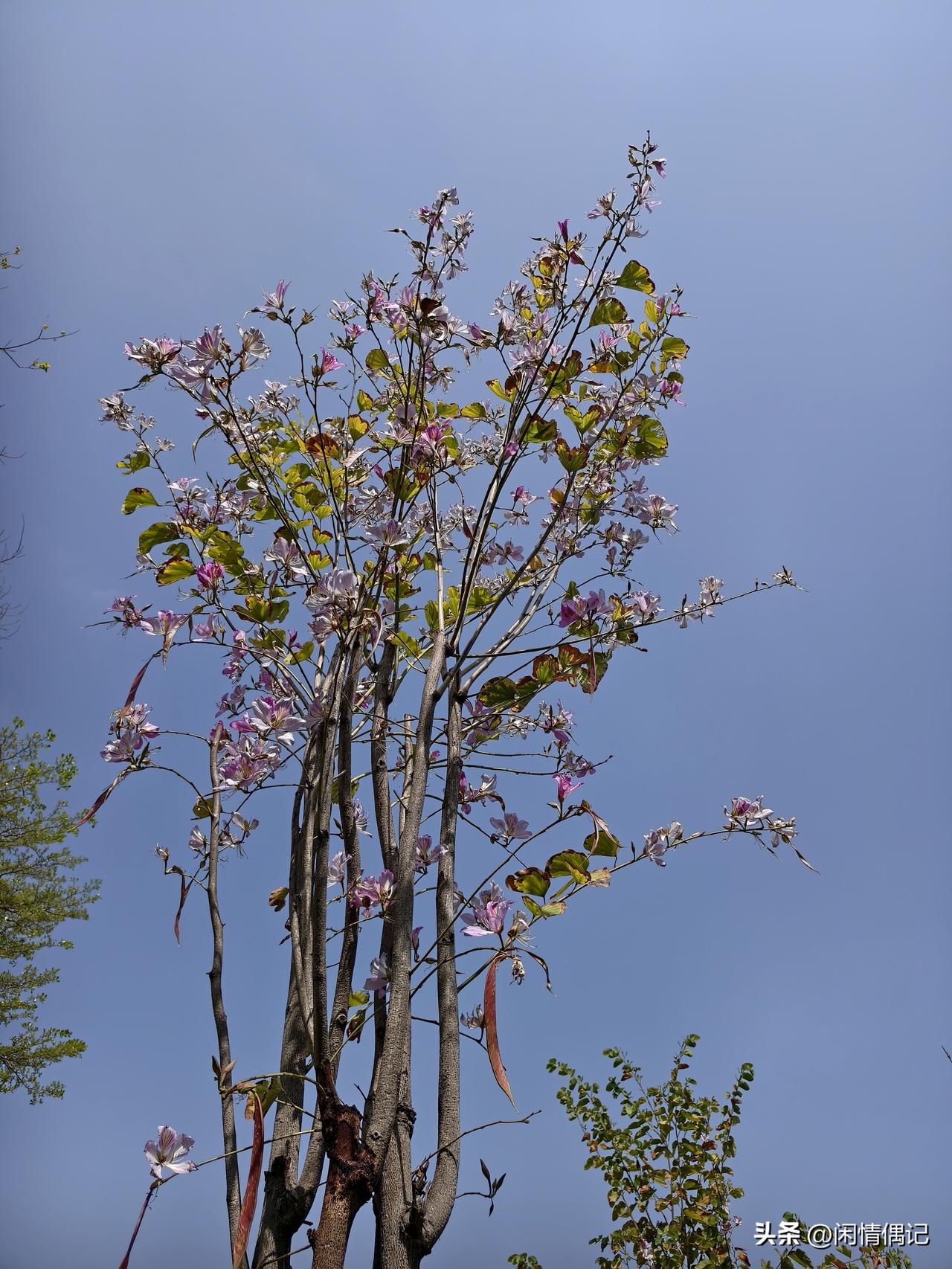 曾仕强说“千万要记住，少说恶毒的话，每一句恶毒的话都像一只回头箭，最后迟早是射伤
