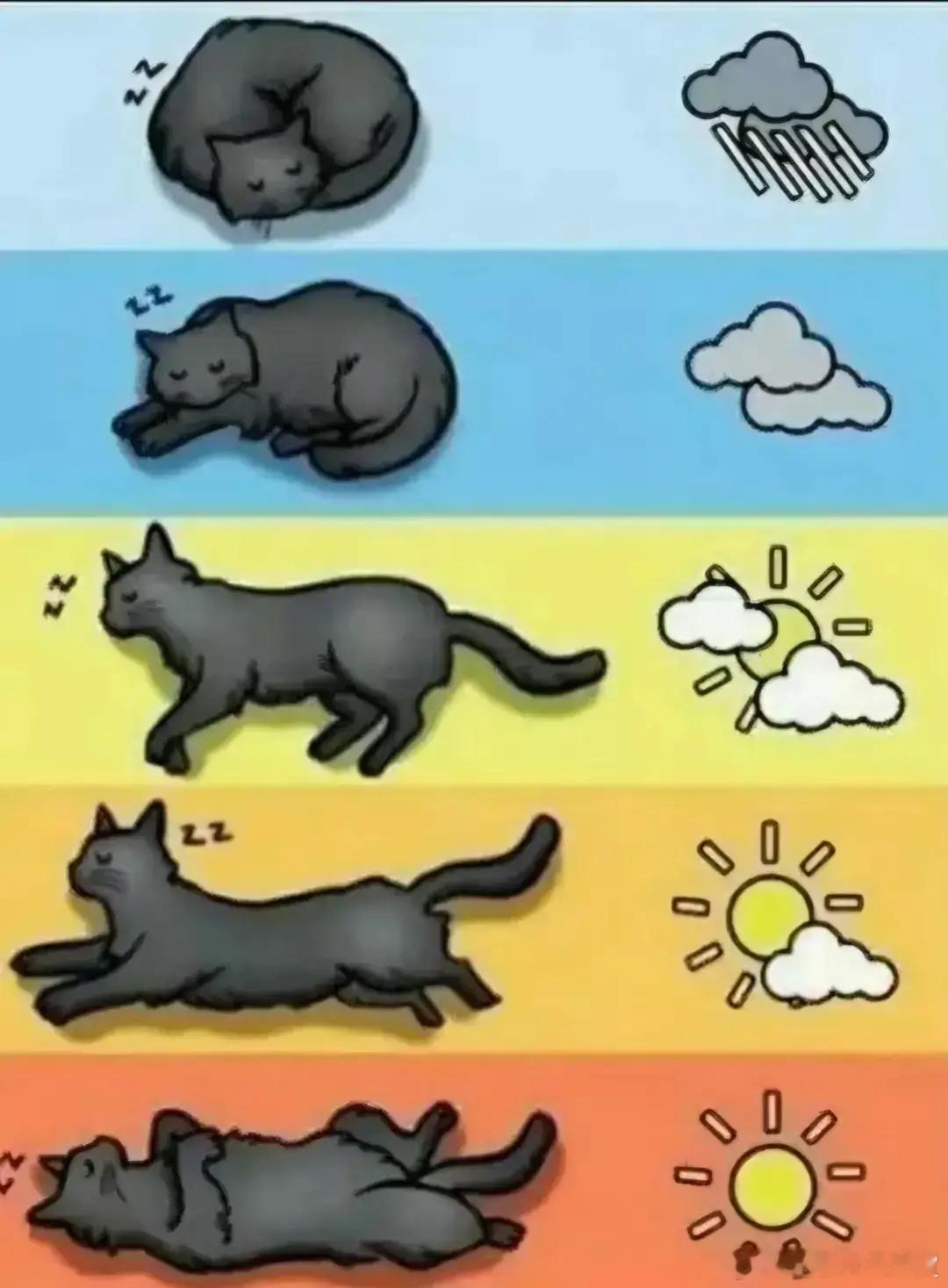 ？？？ 
