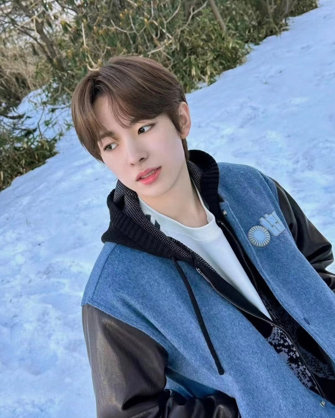 初恋是蓝色、雪和奋不顾身的炽热人真的会反复爱上同一个人 