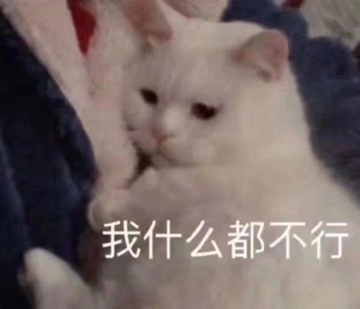 谁把我取关了。查一下下午没查到，只能等明天看取关列表