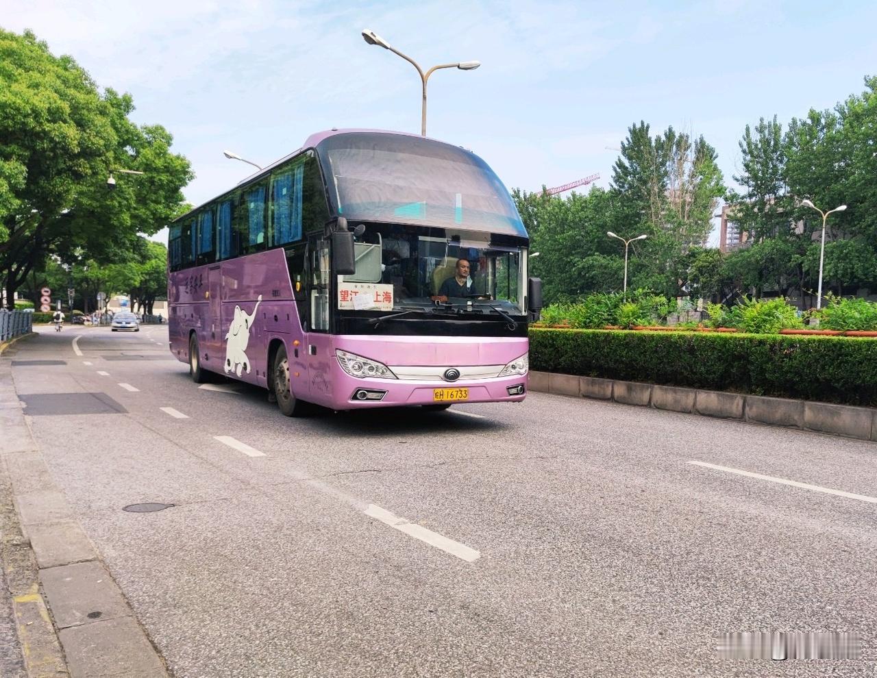 上海曾经的省际长途线路（二十），还有多少在跑？
望江—上海
枞阳—上海
上海—新