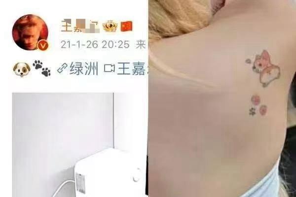 两夫夫都不喜欢独立行走 怪不得在一个被窝 ​​​