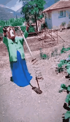 不仅防鸟，还能防盗～