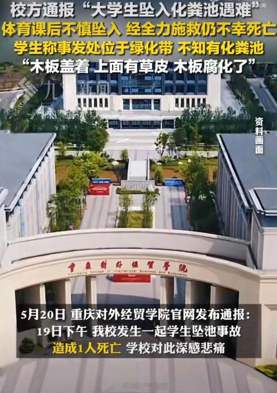坠入化粪池会经历什么想到盖绿布的也是个天才，布置陷阱呢？不盖还能看到[泪] ​​