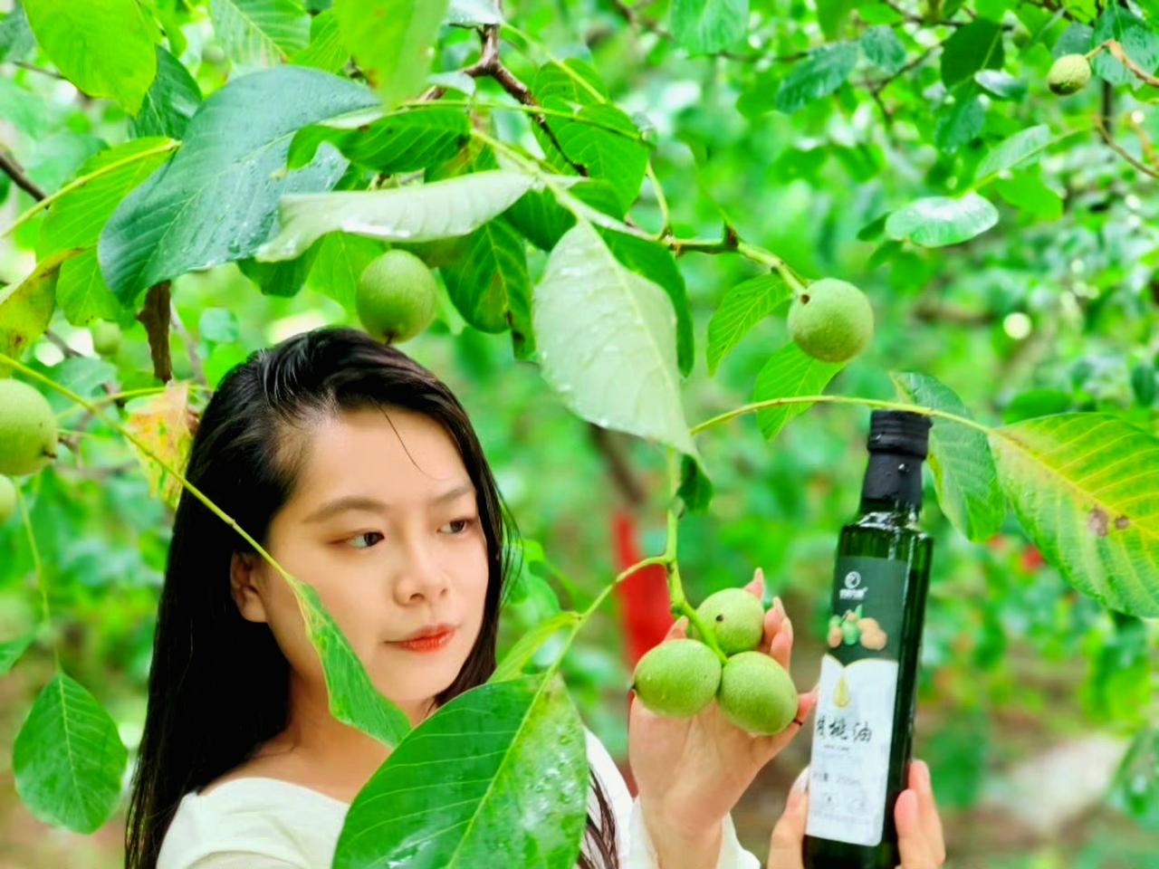 甘味九源核桃油：好果才出好油

8月初文游界一行人走进“中国核桃之乡”甘肃成县。