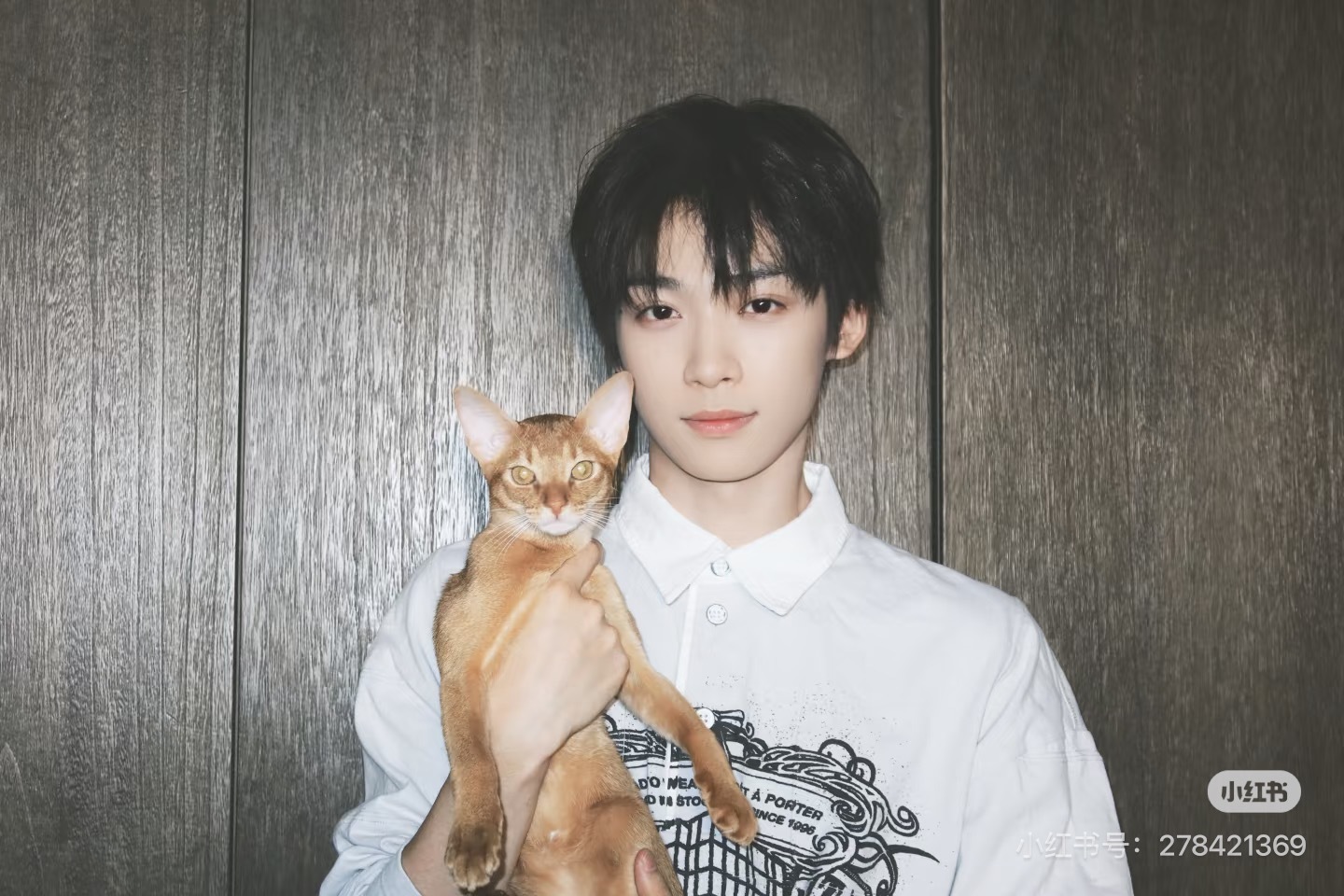 梓渝有猫后几乎每次营业都忍不住秀，他超爱