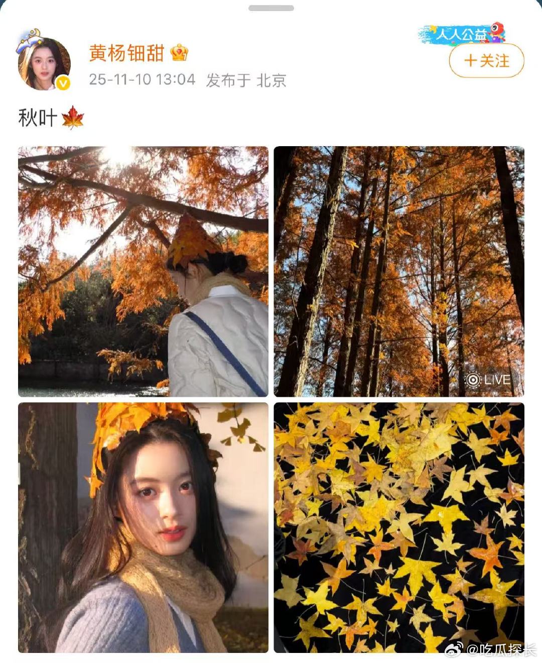 黄杨钿甜时隔六个月发博黄杨钿甜时隔六个月发博，景美 人更美，多多分享啊黄杨钿甜耳