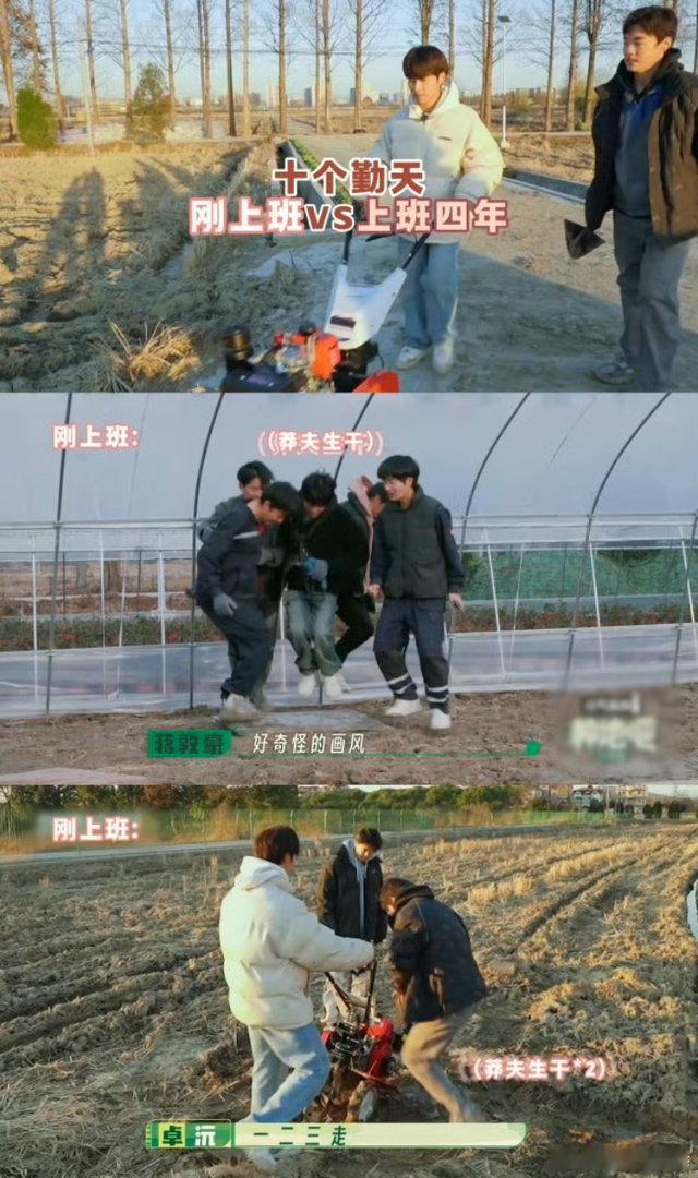 十个勤天刚上班vs上班四年种地吧十个勤天刚上班 vs 上班四年，青涩少年褪去稚气