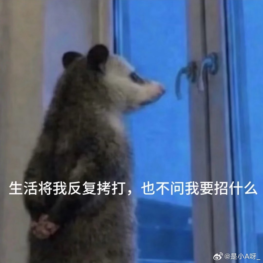 今天早上的我：小巴明天过生日，我将原谅全世界主任：xx项目的事你来负责弄副主任：