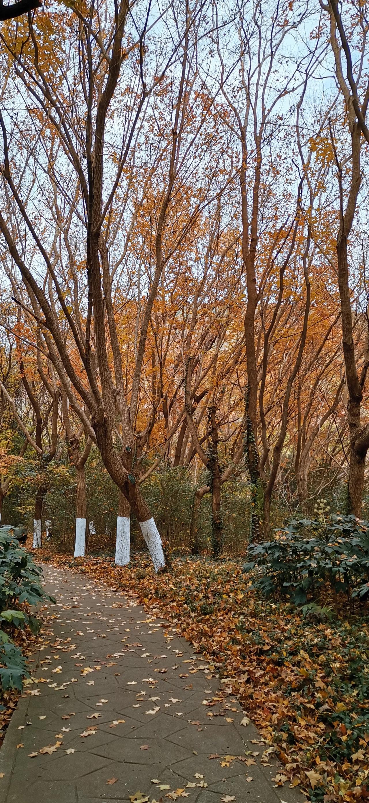 生活随手拍一拍