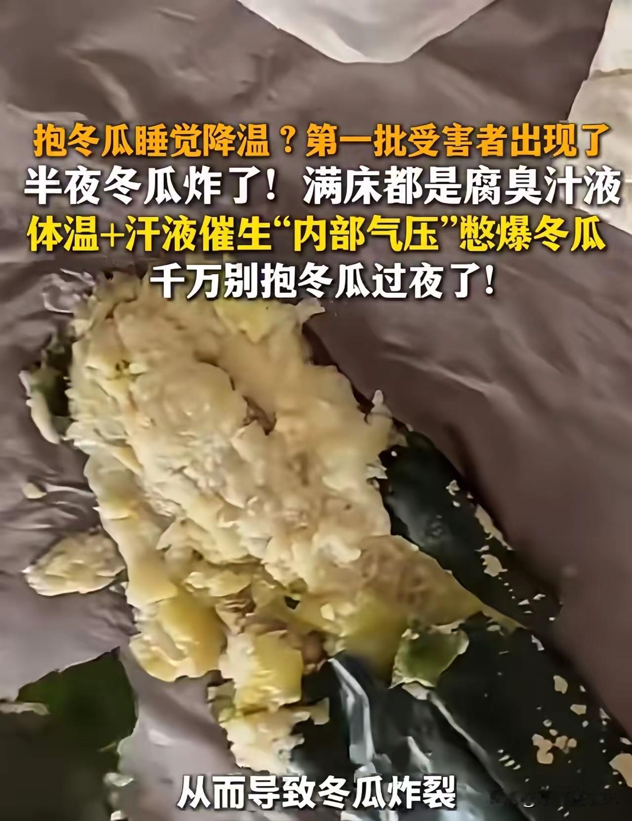 第一批抱冬瓜降温的“受害者”已经来了！
 
最近网上抱冬瓜睡觉降温的玩法大火，不