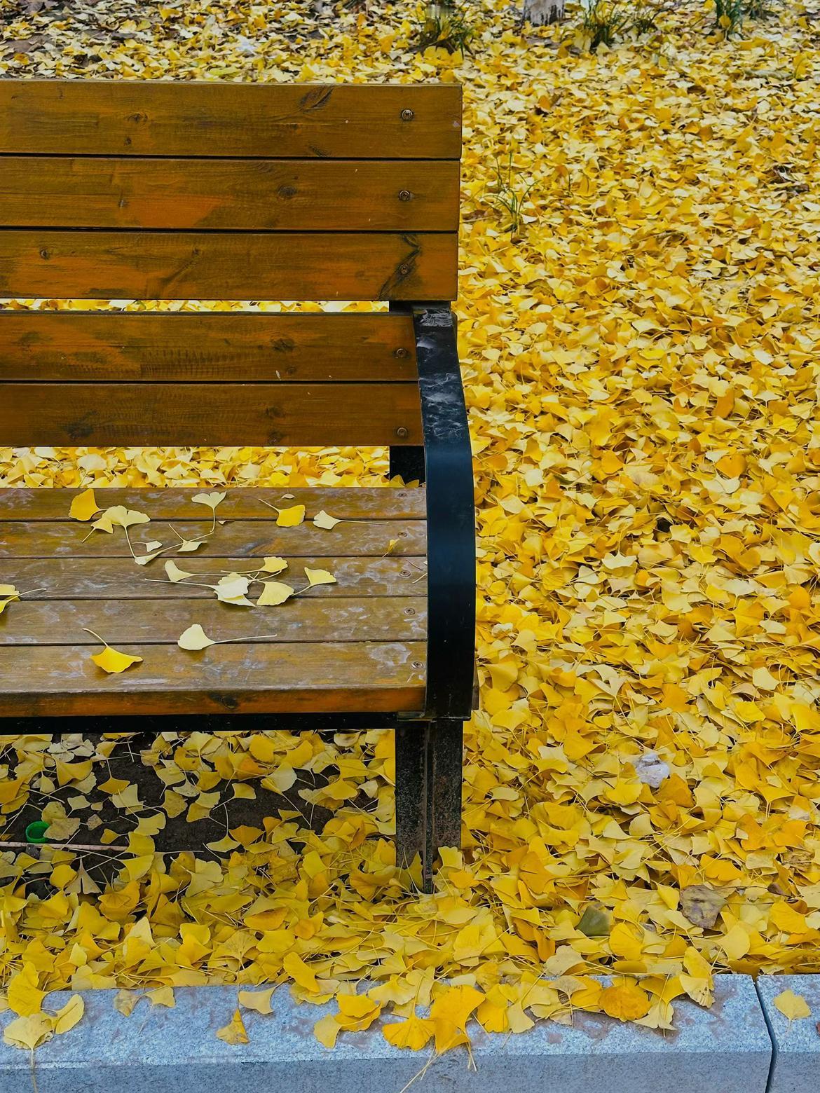 我的今日状态：😁轻松愉快
我这里的天气：☀️晴天
