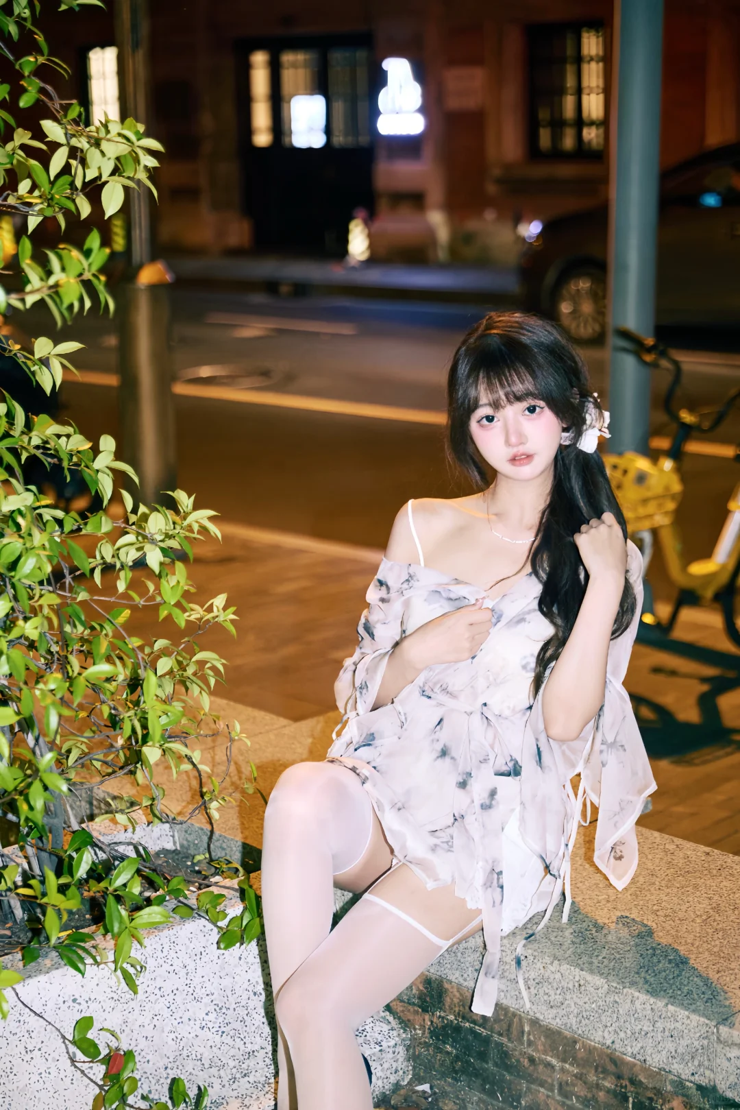 找到新家了吗 不忠的犬