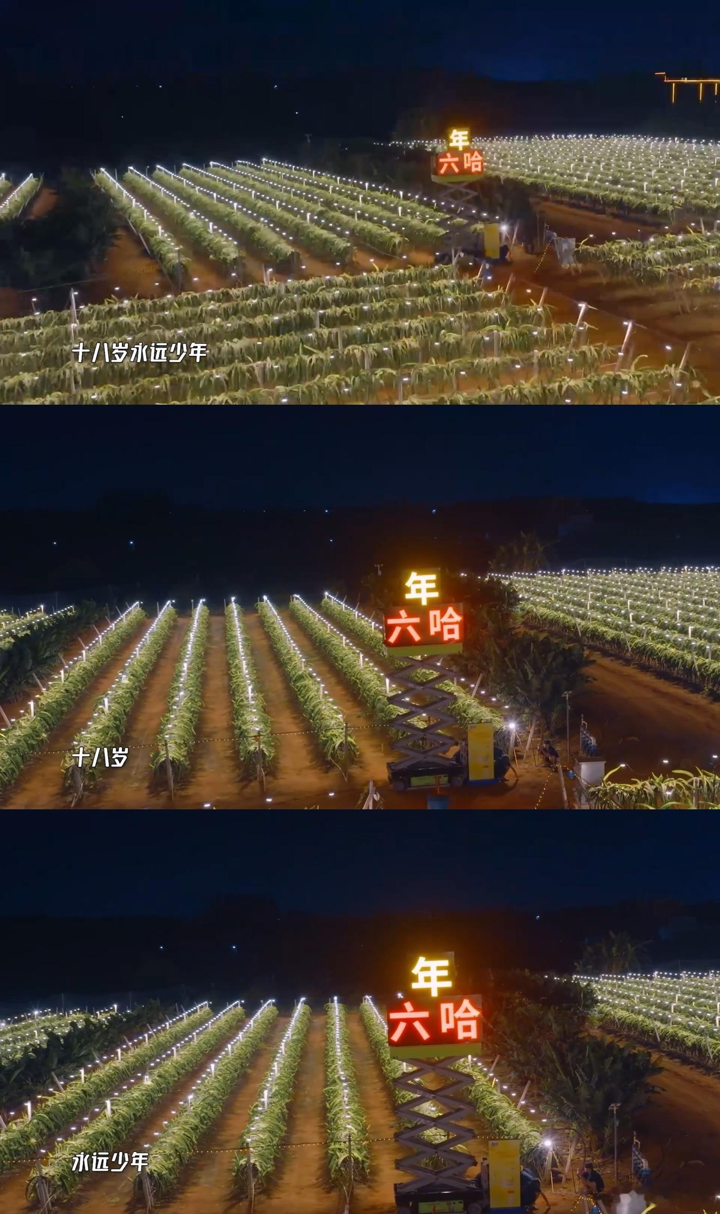五哈节目组祝鹿晗永远18岁哈哈哈哈哈节目组也太会了，专门给鹿晗准备专属祝福凭证，