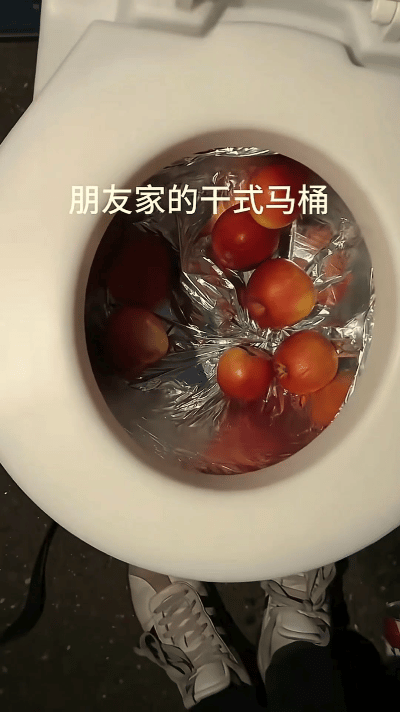 福建，女子去朋友家做客，突然想上厕所，结果发现，朋友家用的居然是个没有冲水功能的