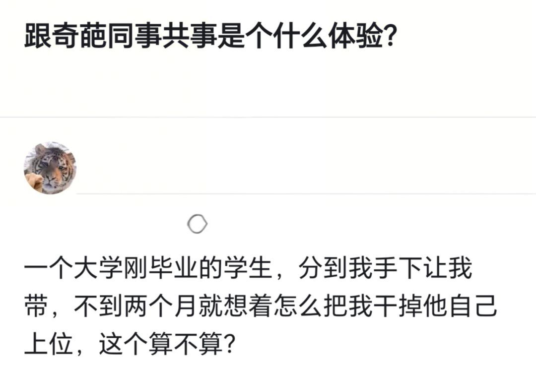 跟奇葩同事共事是个什么体验？ 