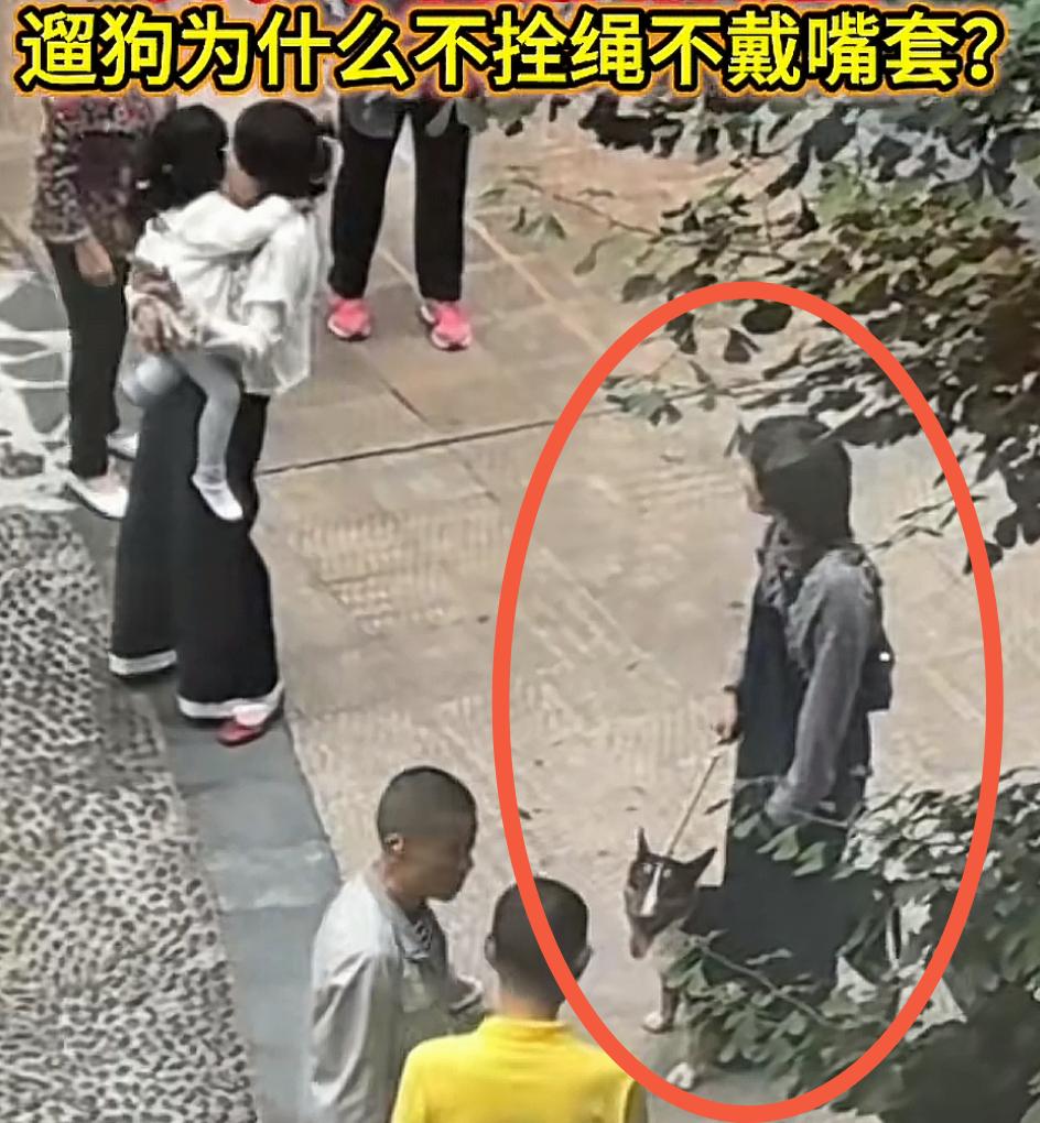 四川眉山未拴绳恶犬咬伤了4人，其中伤势最重的小女孩，太让人心疼了。

据网传监控