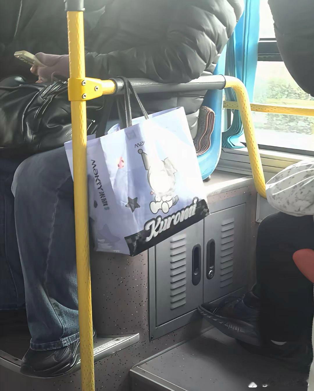 坐好几站地了，我也没看出来他是怎么挂上去的[捂脸]