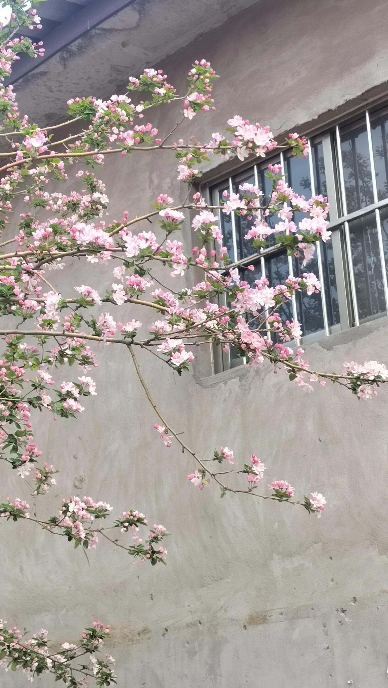 学历是块敲门砖，刚找工作时确实有用，能帮你拿到面试机会。但真进了职场，拼的还是实