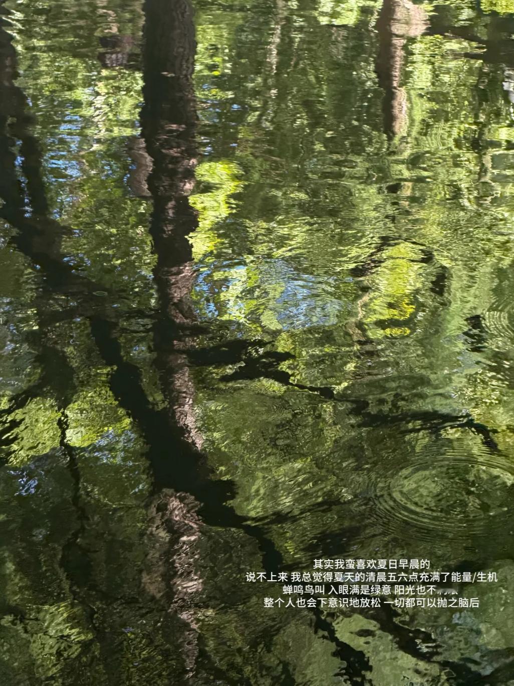 过夏天发生在夏天的若干小事 