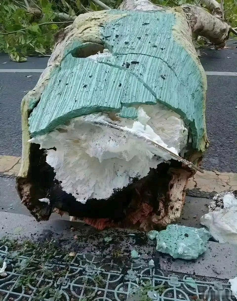 这世界还有什么是真的？ 