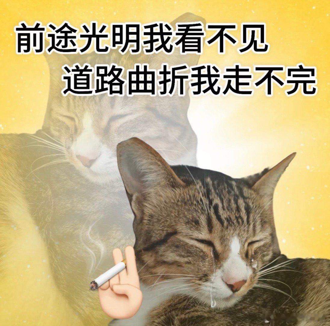 前几天出差太累，今天睡到下午，起来兴致勃勃要化妆说一会吃饭顺便去我中学学校附近溜