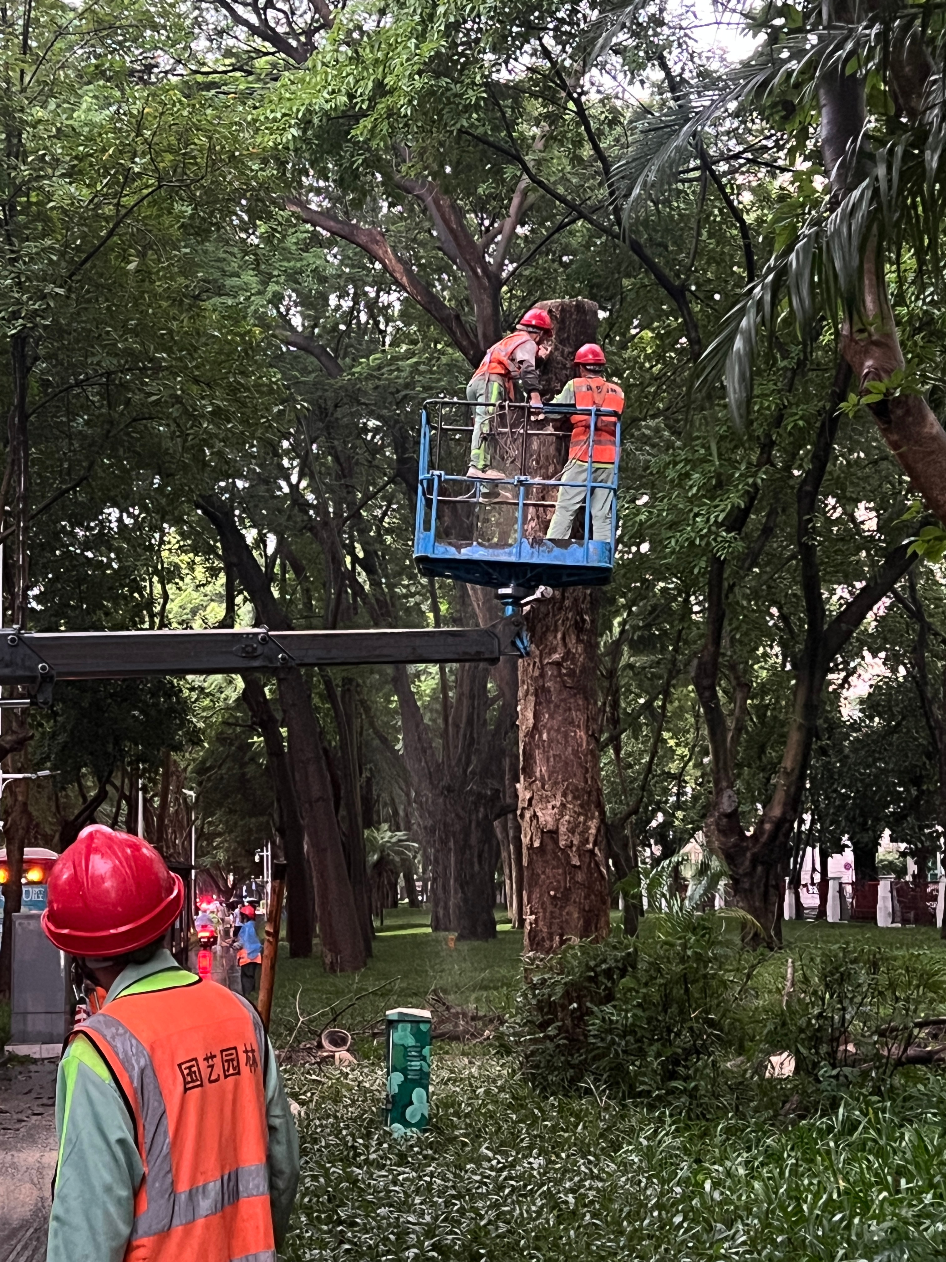 上班路上暴雨天牢记这些保命知识有点东西