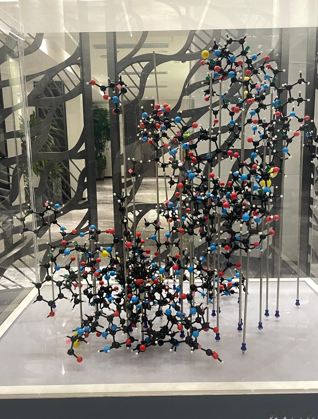 中国科学院上海中科学术活动中心 ​​​