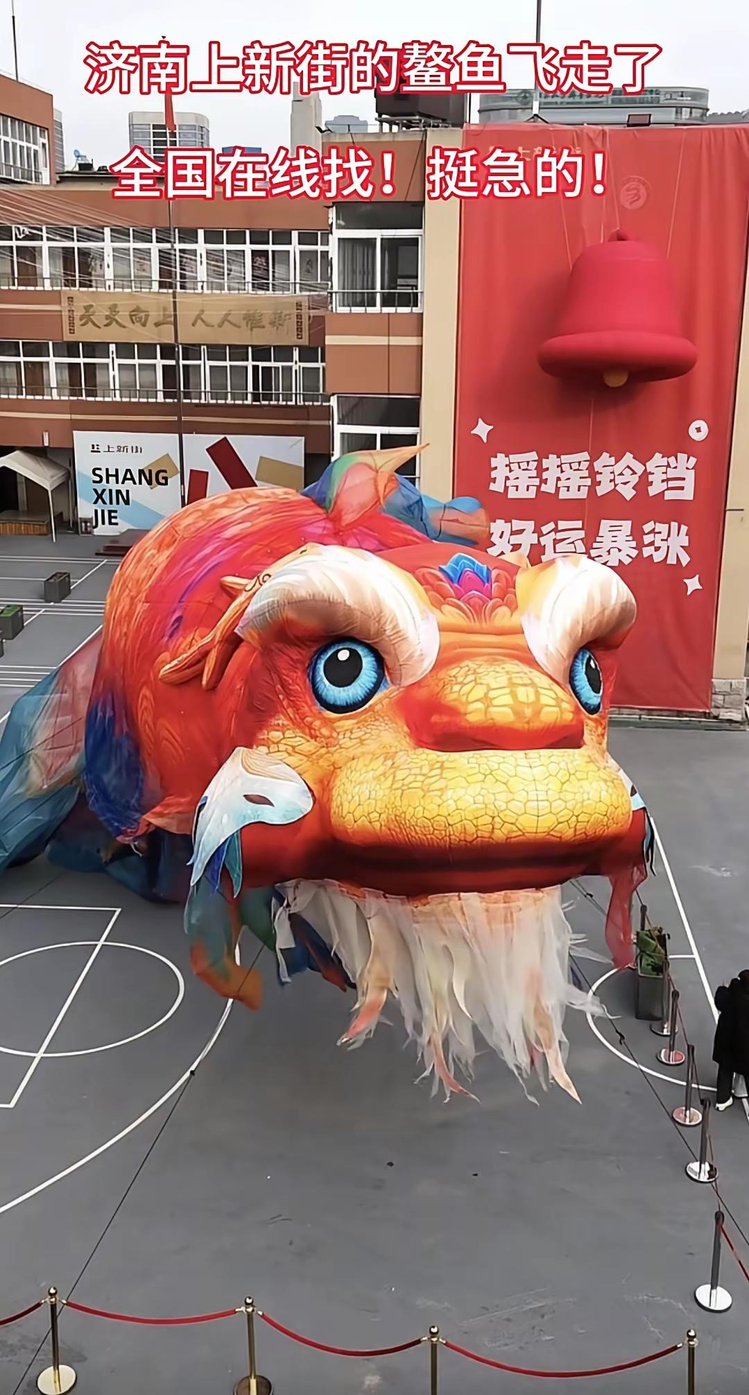 济南跑了的飞天鳌鱼到现在还没找到，而全国各地陆续出现了鳌鱼的消息。